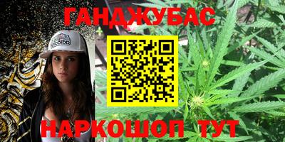 дмт Шелехов