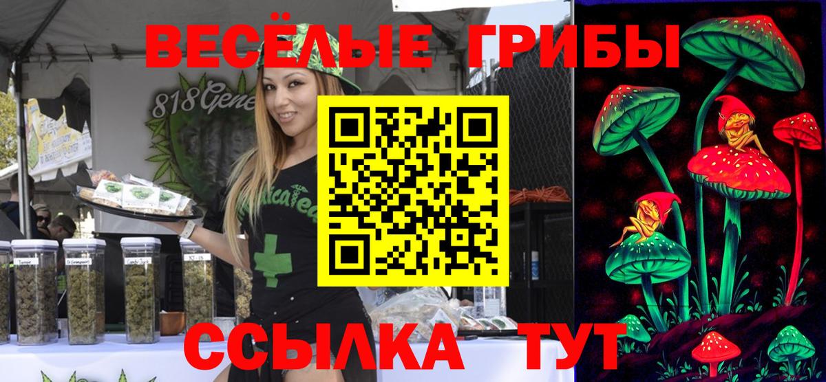 Галлюциногенные грибы MAGIC MUSHROOMS  Вход с VPN  Советск 
